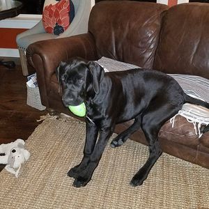 Meet your Posher, Debra